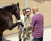Maj. Curt Degeyter, (center) veterinary preventative medicine officer, 195th Medical Detachment Veterinary Service, explains how to Maj. Curt Degeyter (center), a veterinary preventative medicine officer, with the195th Medical Detachment Veterinary Service Support, shows how to test a fifteen-year-old horse for lameness, March 7, 2017, at the Kuwait Military of Defense. Their visit is part of the military to military project of sharing veterinarian services the United States has with its host nation of Kuwait. (U.S. Army photo by Sgt. Tom Wade, USARCENT PAO)