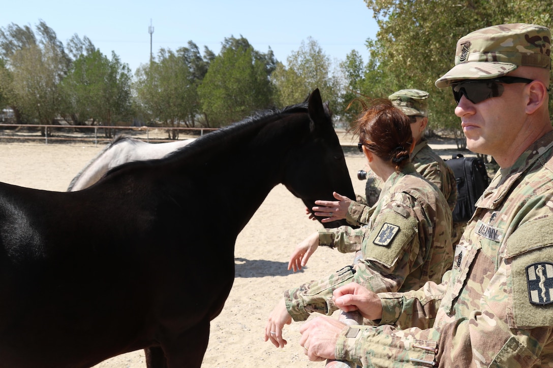 Command Sgt. Maj. Robert Nelson (right), the chief medical non-commissioned officer in charge, with the 31st Combat Support Hospital, along with Soldiers of the 195th Medical Detachment Veterinary Service Support, checks on the status of a pregnant horse, March 7, 2017, at the Kuwait Military of Defense. Their visit is part of the military to military project of sharing veterinarian services the United States has with its host nation of Kuwait. (U.S. Army photo by Sgt. Tom Wade, USARCENT PAO)