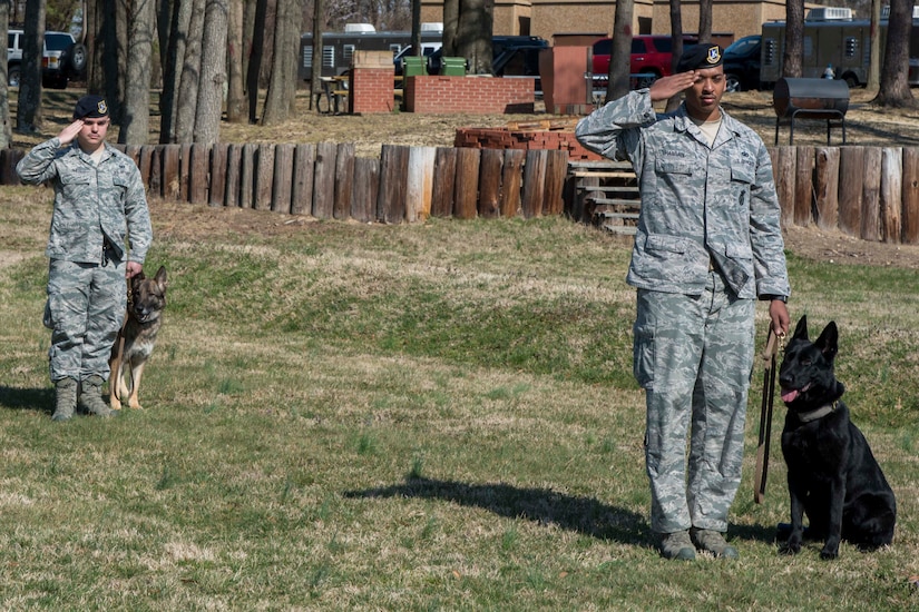 11th Security Support Squadron military working dog handlers salute during the National Anthem at Joint Base Andrews, Md., March 9, 2017. The handlers attended Teo’s, 11th SSPTS MWD, retirement ceremony after he served 10 years as an Air Force explosive detection dog. (U.S. Air Force photo by Airman 1st Class Valentina Lopez)
