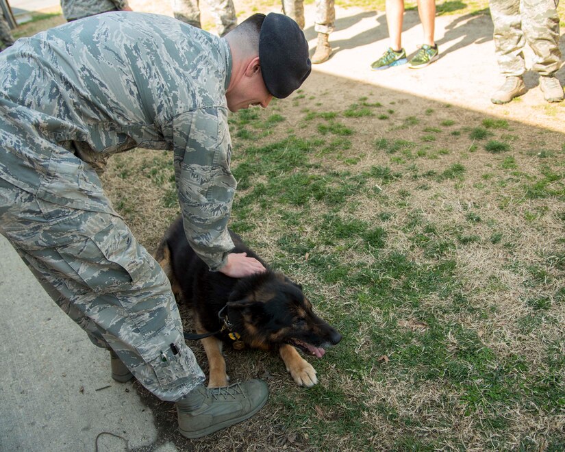 Senior Airman Brandon Caywood, 11th Security Support Squadron military working dog handler, pets Teo, 11th SSPTS MWD, during Teo’s retirement ceremony at Joint Base Andrews, Md., March 9, 2017. Teo retired after 10 years as an Air Force explosive detection dog and was adopted by his two-year handler Caywood. (U.S. Air Force photo by Airman 1st Class Valentina Lopez)