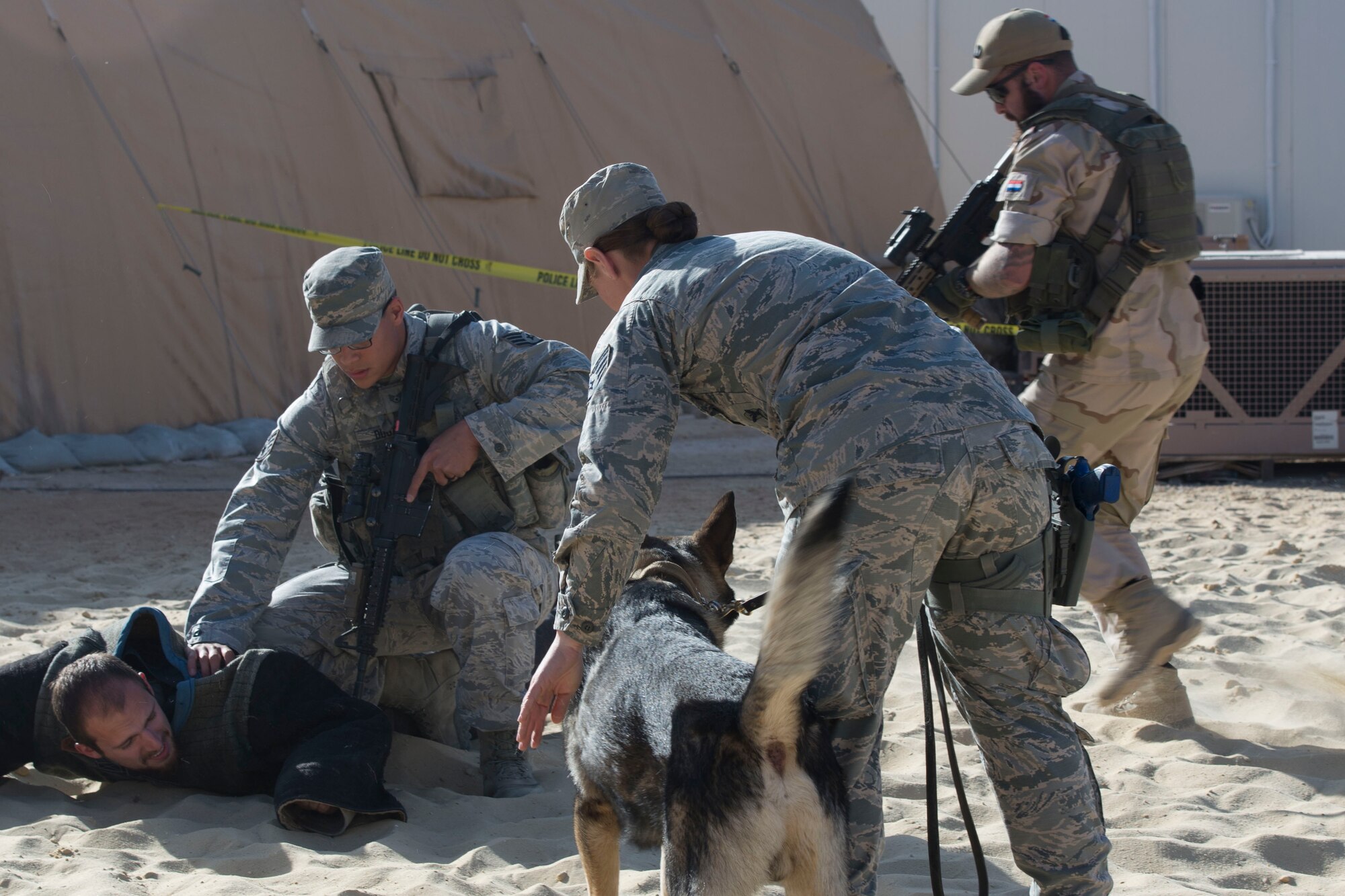 Security forces members from the 332nd Expeditionary Security Forces Squadron detain a subject during a demonstration, Feb. 25, 2017, in Southwest Asia. The demonstration showcased military working dogs skills and coalition partnership. (U.S. Air Force photo by Staff Sgt. Eboni Reams)