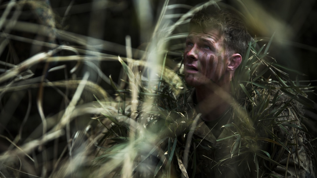U.S. Marine Lance Cpl. William Pearn, a Shohola, Pennsylvania native, camouflage himself using surrounding vegetation during exercise Forest Light at Somagahara, Japan, March 10, 2017. Forest Light is one of various bi-lateral training opportunities conducted by Japan Ground Self-Defense and deployed U.S. Marine forces to demonstrate the enduring commitment by both countries to peace, stability, and prosperity across the region. Pearn is a machine gunner training for scout sniper school with Company G, 2nd Battalion, 3rd Marine Regiment, 3rd Marine Division, III Marine Expeditionary Force.