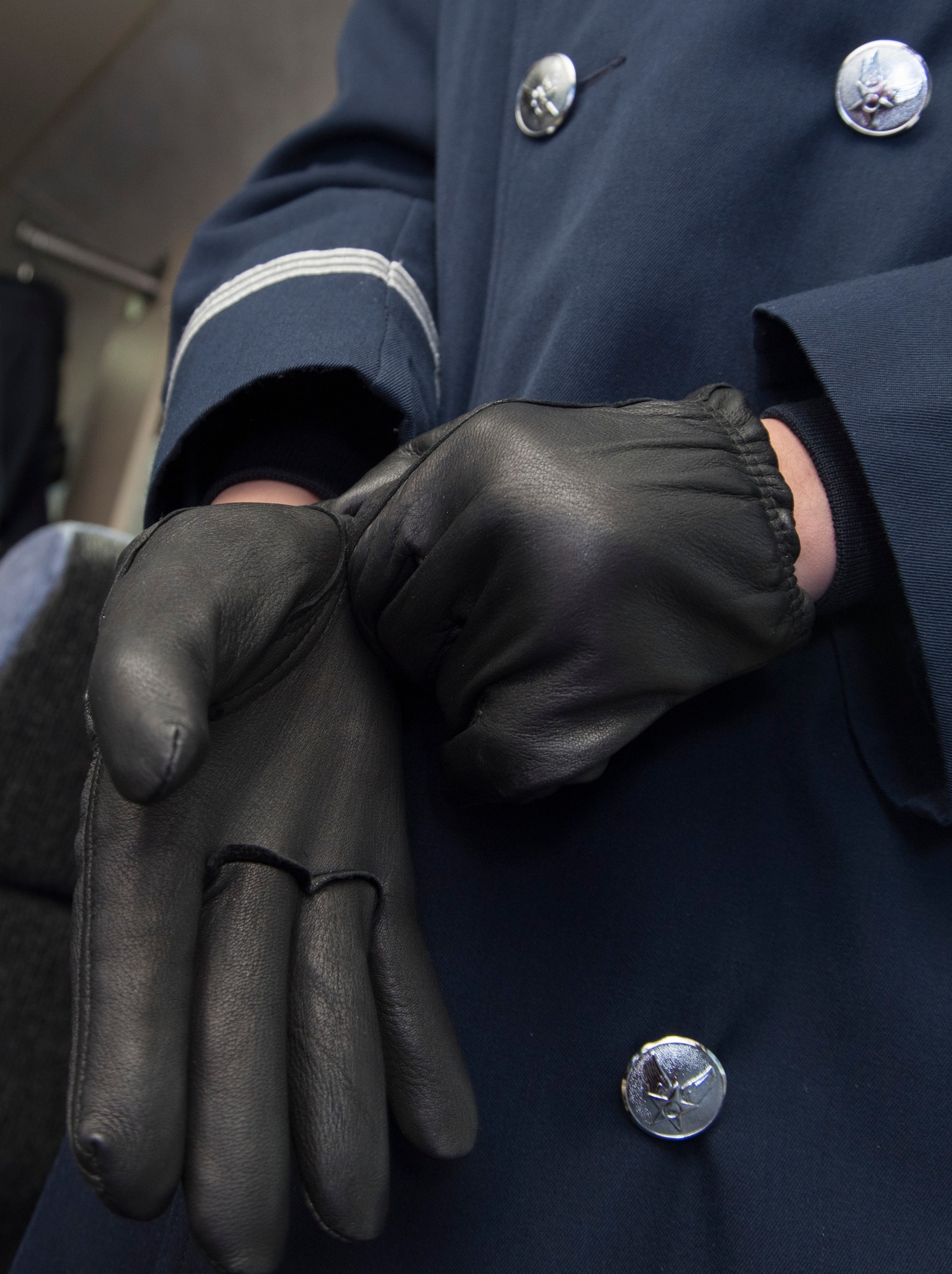 Airman 1st Class Daniela Bejarano, U.S. Air Force Honor Guard ceremonial guardsman, puts on gloves in preparation for the annual Chicago St. Patrick’s Day Parade, March 11, 2017. In addition to wearing gloves, the honor guard members wore overcoats, earmuffs, a scarf and black sling to combat winter temperatures of less than 30 degrees during the event. (U.S. Air Force photo by Senior Airman Jordyn Fetter)