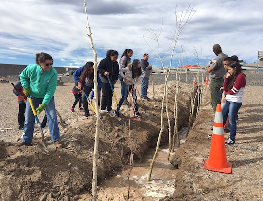 COCHITI LAKE, N.M. – Park rangers and volunteers from Cochiti Elementary School plant cottonwood poles and willows at the lake, Feb. 17, 2017. 