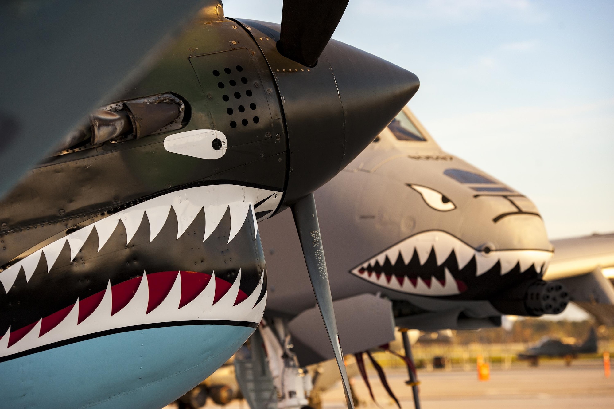 A Curtiss P-40 Warhawk and an A-10C Thunderbolt II static display rest on the flight line during the 75th Anniversary Flying Tiger Reunion, March 10, 2017, at Moody Air Force Base, Ga. In 1941, President Roosevelt signed an executive order forming the American Volunteer Group. The AVG was organized into the 1st, 2nd, and 3rd Pursuit Squadrons and later disbanded and replaced by the 23d Fighter Group in 1942. Under the command of Gen. Claire Chennault, the Flying Tigers comprised of the 74th, 75th, and 76th Pursuit Squadrons defended China against the Japanese. Throughout World War II, the Flying Tigers achieved combat success and flew the US-made Curtiss P-40 Warhawks painted with the shark-mouth design. (U.S. Air Force photo by Andrea Jenkins)