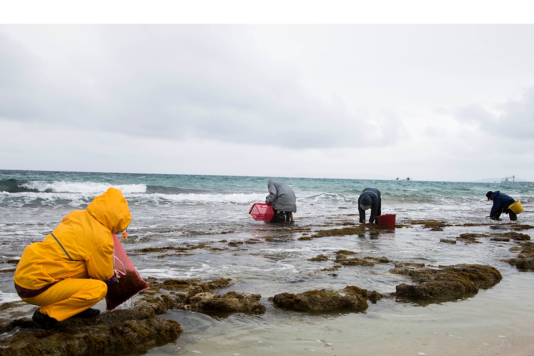 Okinawa residents harvest hijiki March 11 aboard Camp Courtney, Okinawa, Japan. Hijiki is edible seaweed that has been a part of Japanese cuisine for centuries. It is rich in minerals and dietary fiber, and according to local folklore, it improves health and beauty. Hijiki Festival allows Okinawa residents the chance to come to the beach of Camp Courtney to collect hijiki once per year. (U.S. Marine Corps photo by Sgt. Douglas D. Simons) 