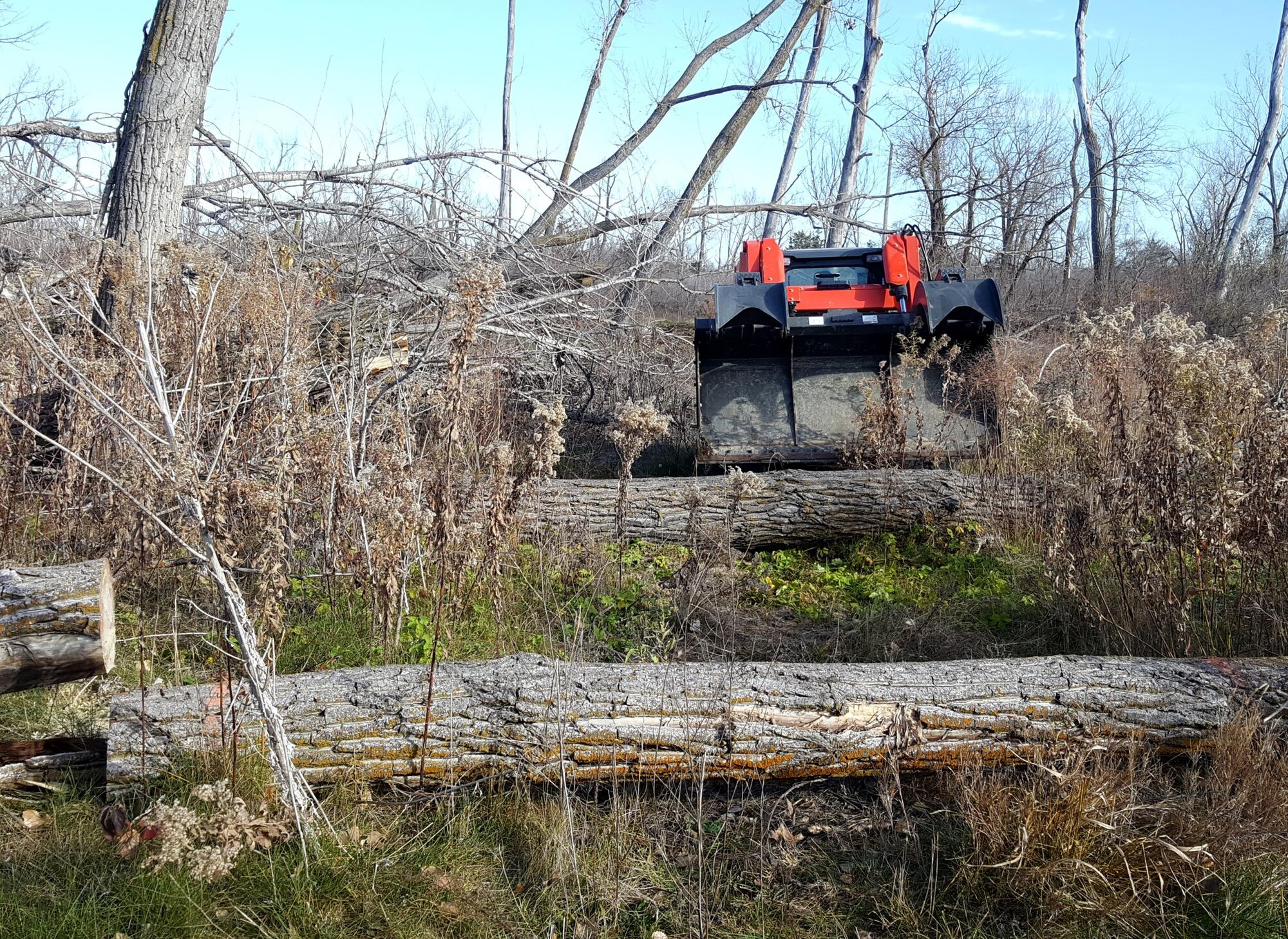 185th Air Refueling Wing Civil Engineers, Iowa Air National Guard in Sioux City, Iowa use a small skid steer loader, that is part of domestic operations debris clean up package, to clear branches from an Iowa Army National Guard training site adjacent the Sioux City, Iowa Airport, during the November, 2016 training weekend. (185th Photo released)