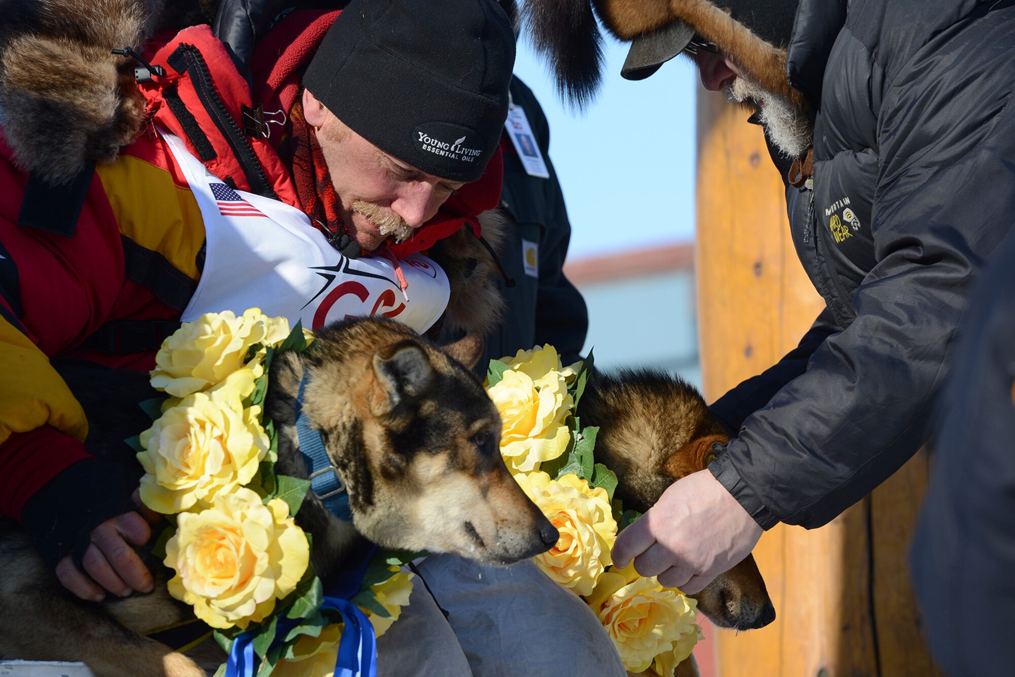 Mitch Seavey’s lead dogs receive flower garlands for being the first-place winners of the 45th Iditarod Trail Sled Dog Race in Nome, Alaska, March 14, 2017.  The Iditarod is an annual 1,000-mile race challenging mushers and dog teams alike under cold weather conditions and long distance travel to the finish line in Nome. 