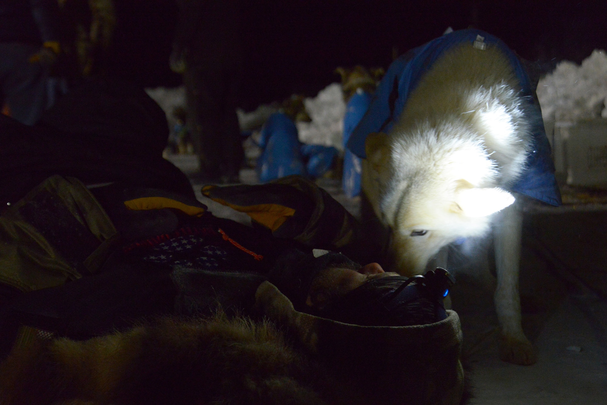 Rick Casillo, Battle Dogs founder and Iditarod Trail Sled Dog Race veteran, relaxes with one of his dogs after finishing 28th place in Nome, Alaska, March 15, 2017.  The Iditarod is an annual 1,000-mile race challenging mushers and dog teams alike under cold weather conditions and long distance travel to the finish line in Nome.