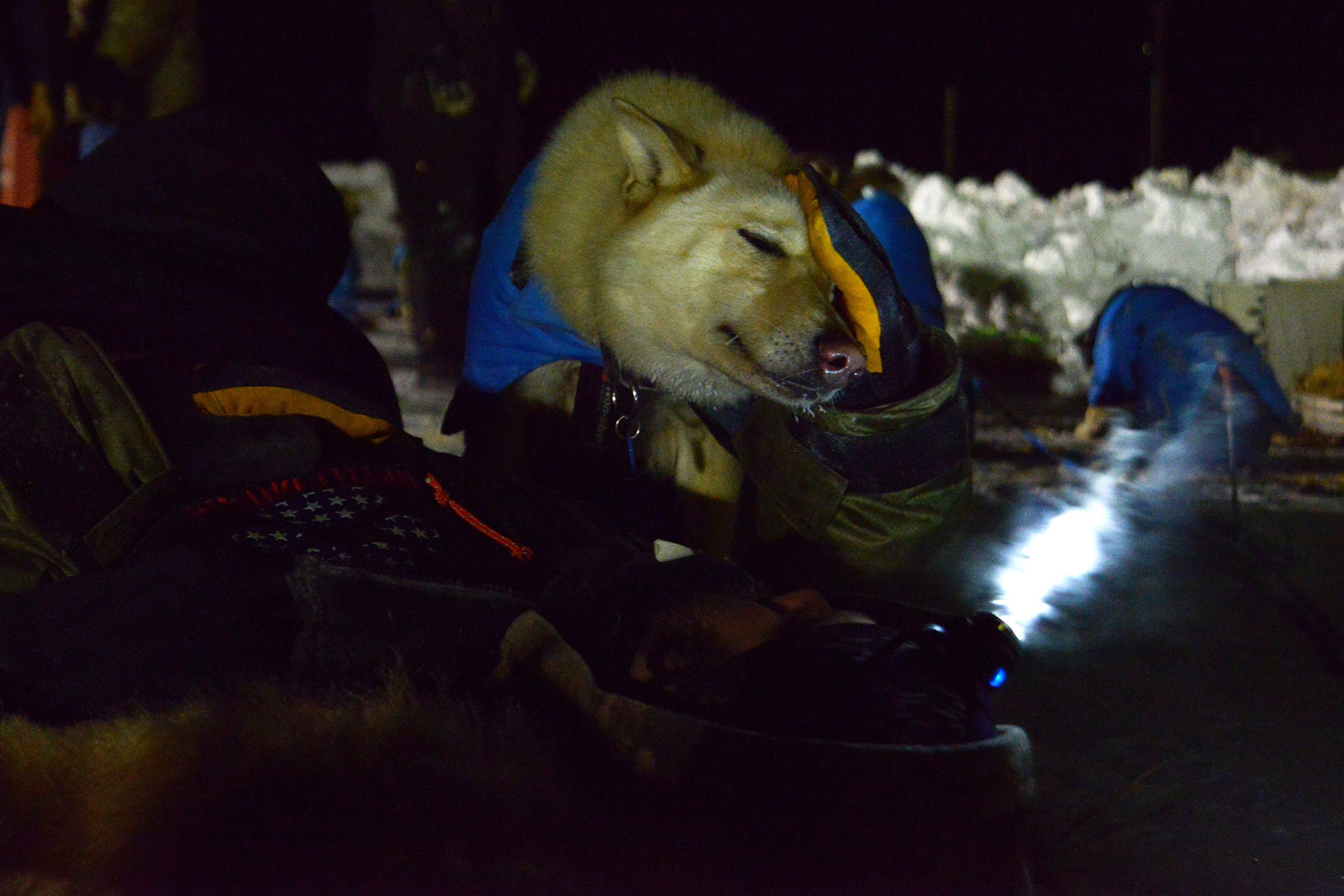 Rick Casillo, Battle Dogs founder and Iditarod Trail Sled Dog Race veteran, relaxes with one of his dogs after finishing 28th place in Nome, Alaska, March 15, 2017.  The Iditarod is an annual 1,000-mile race challenging mushers and dog teams alike under cold weather conditions and long distance travel to the finish line in Nome. 