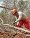 U.S. Air Force Staff Sgt. Owen Bock, a civil engineer with the 116th Air Control Wing, Georgia Air National Guard, saws a tree using a chainsaw while clearing a 20-foot wide, 1.5 mile trail through a five-acre area at Wellston Park, Warner Robins, Ga., March 5, 2017. The engineers partnered with the City of Warner Robins to assist in the completion of Wellston Park through the Innovative Readiness Training (IRT) program. The IRT program is a US military volunteer training opportunity that provides training and readiness for military personnel while addressing public and civil-society needs. (U.S. Air National Guard photo by Senior Master Sgt. Roger Parsons)