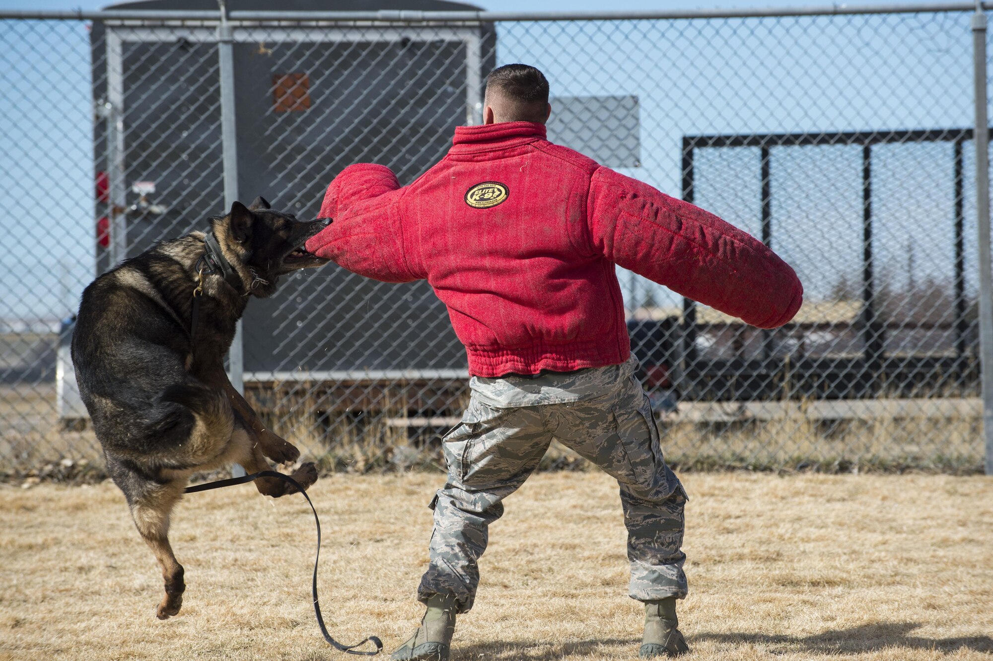 Oli, a military working dog, bites the protective suit of Staff Sgt. Bryan Gill, 90th Security Forces Squadron kennel master, padding during attack training at F.E. Warren Air Force Base, Wyo., March 16, 2017. Attack training prepares the MWD and the handler for real life situations that could happen on their patrol. (U.S. Air Force photo by Staff Sgt. Christopher Ruano)