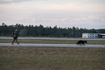 Staff Sgt. Anthony Friday, 822d Base Defense Squadron military working dog handler, walks along the flightline with MWD Herkules, during a Mission Readiness Exercise March 12, 2017, at Avon Park Air Force Range, Fla. The MRX took place March 2 to 13 and ensured the 822d BDS could efficiently deploy anywhere in the world in less than 72 hours. During the two week MRX, the squadron was evaluated on its ability to set-up a bare base, effectively thwart enemy attacks, run a secure Tactical Operation Center and maintain positive relationships with villagers in surrounding areas. (U.S. Air Force Photo by Airman 1st Class Janiqua P. Robinson)