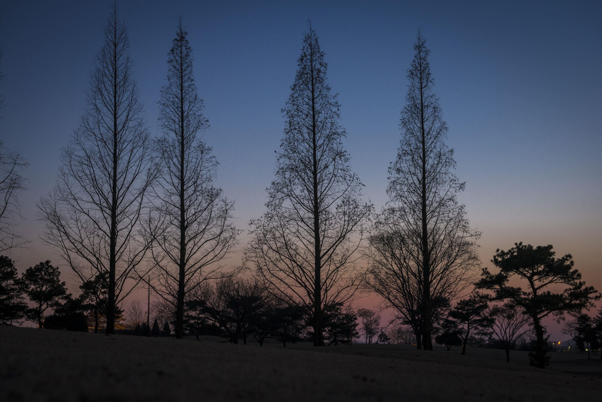 As the sun sets over the Rush Park life support area, personnel deployed in support of Key Resolve 2017 begin their 12-hour shift change routine at Osan Air Base, Republic of Korea, March 14, 2017. Viewed from the middle of the Osan golf course, these trees mark the halfway point between the dining facility and the LSA. Many service members make the 15-minute trek across the green at all times of the day and night. Always respectful of their Korean hosts, KR17 personnel pay close attention to ball placement and game movement before crossing the course. (U.S. Air Force photo by Staff Sgt. Benjamin W. Stratton)