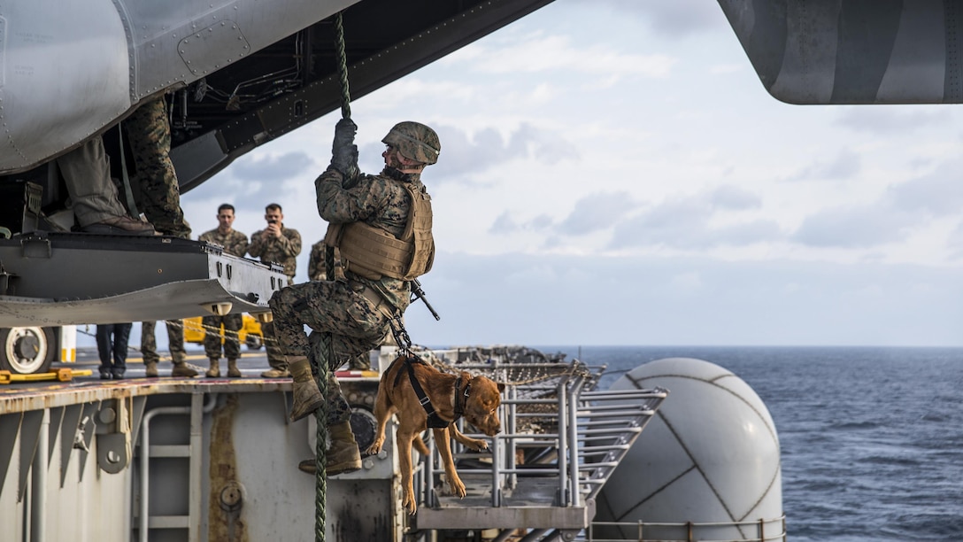 Marine Corps Lance Cpl. Alex Marquissee, a military working dog handler, and his dog, Gage, fast-rope from an MV-22B Osprey onto an aircraft elevator aboard the USS Bonhomme Richard in the Philippine Sea, March 21, 2017. Marquissee and Gage are attached to the 31st Marine Expeditionary Unit. Navy photo by Seaman Apprentice Jesse Marquez Magallanes