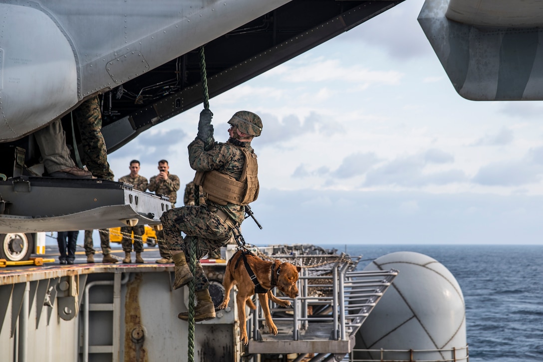 Marine Corps Lance Cpl. Alex Marquissee, a military working dog handler, and his dog, Gage, fast-rope from an MV-22B Osprey onto an aircraft elevator aboard the USS Bonhomme Richard in the Philippine Sea, March 21, 2017. Marquissee and Gage are attached to the 31st Marine Expeditionary Unit. Navy photo by Seaman Apprentice Jesse Marquez Magallanes