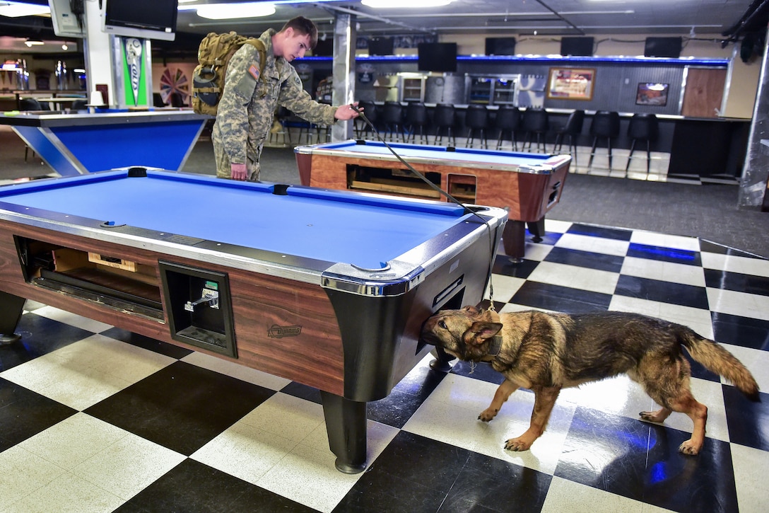 Army Pfc. Brad Bourne commands Darla, a military working dog, to search during explosives and illicit drugs detection training at Joint Base Elmendorf-Richardson, Alaska, March 21, 2017. Bourne and Darla are assigned to the 549th Military Working Dog Detachment. Air Force photo by Justin Connaher