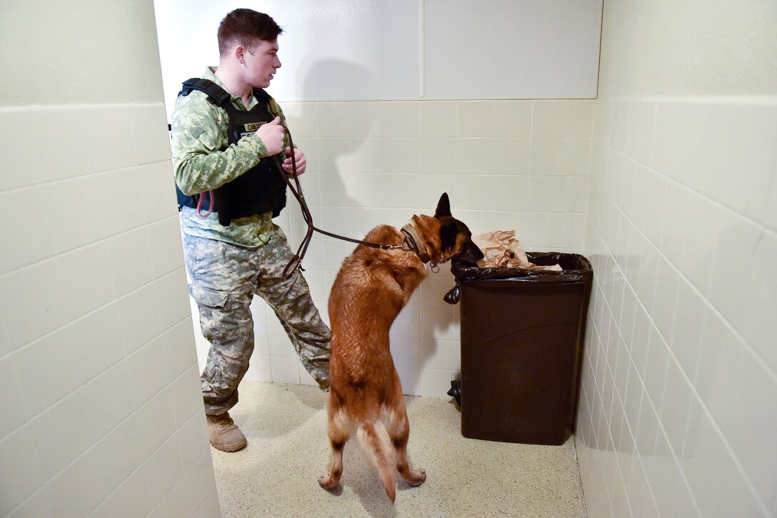 Army Pvt. Cody Careyette and Daga, a military working dog, search a trash receptacle in a building during explosives and illicit drugs detection training at Joint Base Elmendorf-Richardson, Alaska, March 21, 2017. Careyette and Daga are assigned to the 549th Military Working Dog Detachment. Air Force photo by Justin Connaher