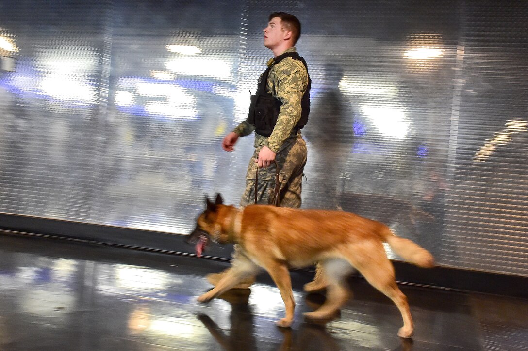 Army Pvt. Cody Careyette and Daga, a military working dog, search a building during explosives and illicit drugs detection training at Joint Base Elmendorf-Richardson, Alaska, March 21, 2017. Careyette and Daga are assigned to the 549th Military Working Dog Detachment. Air Force photo by Justin Connaher