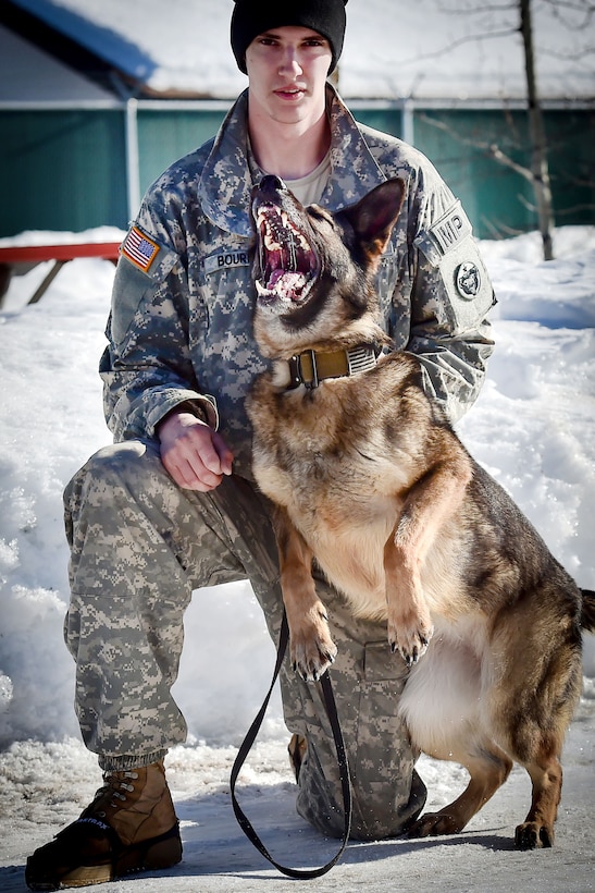 Army Pfc. Brad Bourne and Darla, a military working dog, take a break from participating in explosives and illicit drugs detection training at Joint Base Elmendorf-Richardson, Alaska, March 21, 2017. Bourne and Darla are assigned to the 549th Military Working Dog Detachment. Air Force photo by Justin Connaher