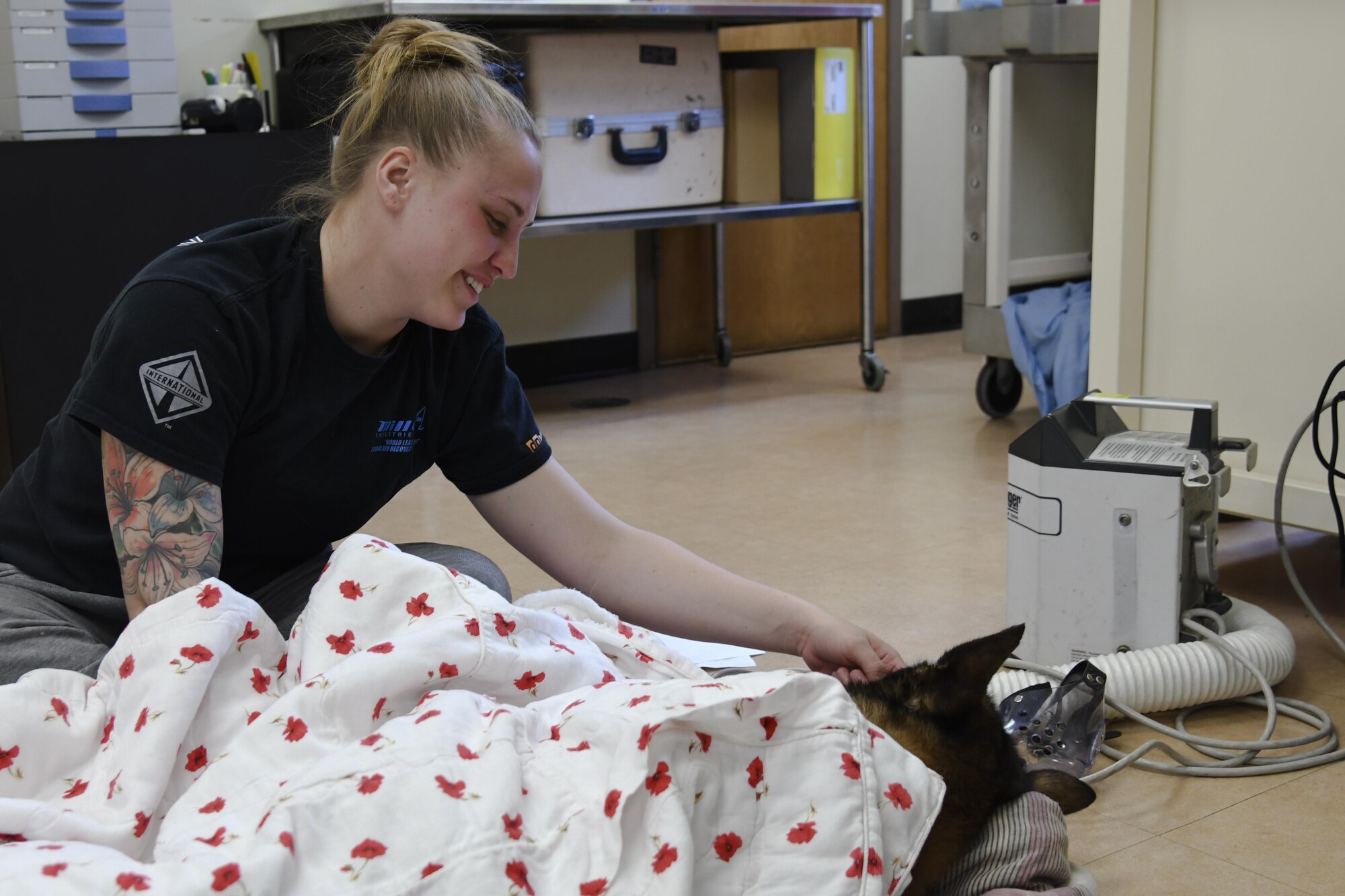 Vet Clinic takes care of K9s and canines > Osan Air Base > Article Display