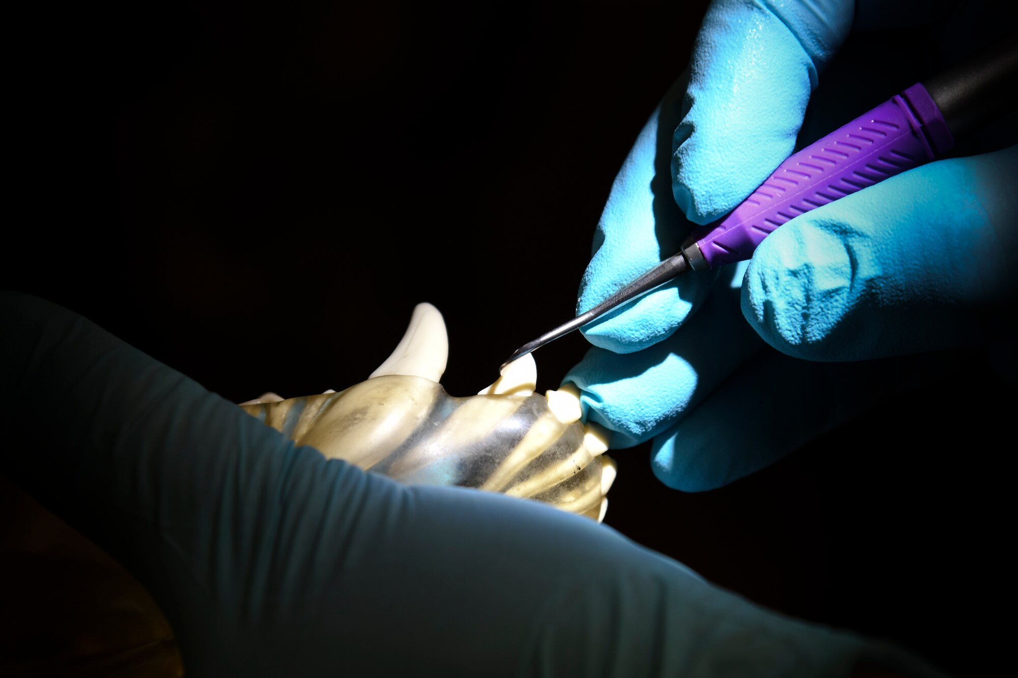 U.S. Air Force Maj. David Dennison, 51st Dental Squadron general dentist, teaches a group of veterinary technicians to sharpen dental tools at Osan Air Base, Republic of Korea, March 22, 2017. The Osan Veterinary Clinic technicians stay up to date with training in order to perform dental surgery, spaying, neutering and vaccinating. (U.S. Air Force photo by Airman 1st Class Gwendalyn Smith)