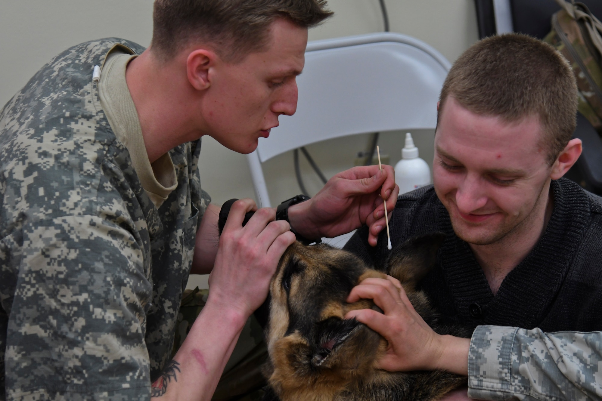 U.S. Army Private 1st Class Connor Goodson, 51st Medical Support Squadron veterinary technician cleans out a dog’s ears at Osan Air Base, Republic of Korea, March 22, 2017. Although the primary mission of the Osan Veterinary Clinic is to take care of military working dogs, they also care for more than 100 clients, most of which are privately-owned pets. (U.S. Air Force photo by Airman 1st Class Gwendalyn Smith)