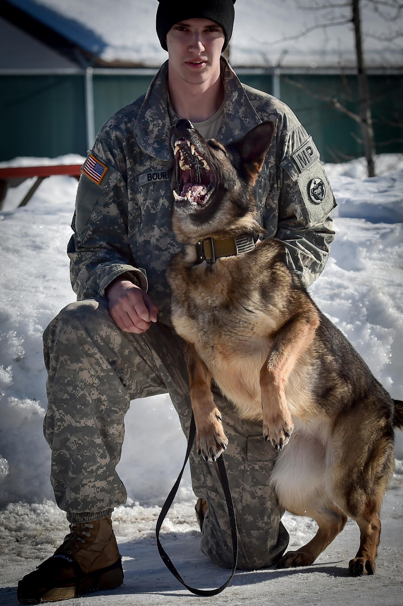 Army Pfc. Brad Bourne, a native of Southington, Ohio, and Darla, a German shepherd, both assigned to the 549th Military Working Dog Detachment, U.S. Army Alaska, perform aggression training on Joint Base Elmendorf-Richardson, Alaska, after explosives and illicit drugs detection training, March 21, 2017.  Soldier/dog teams were evaluated on search techniques, and effective detection in practical scenarios as well as aggression training. 