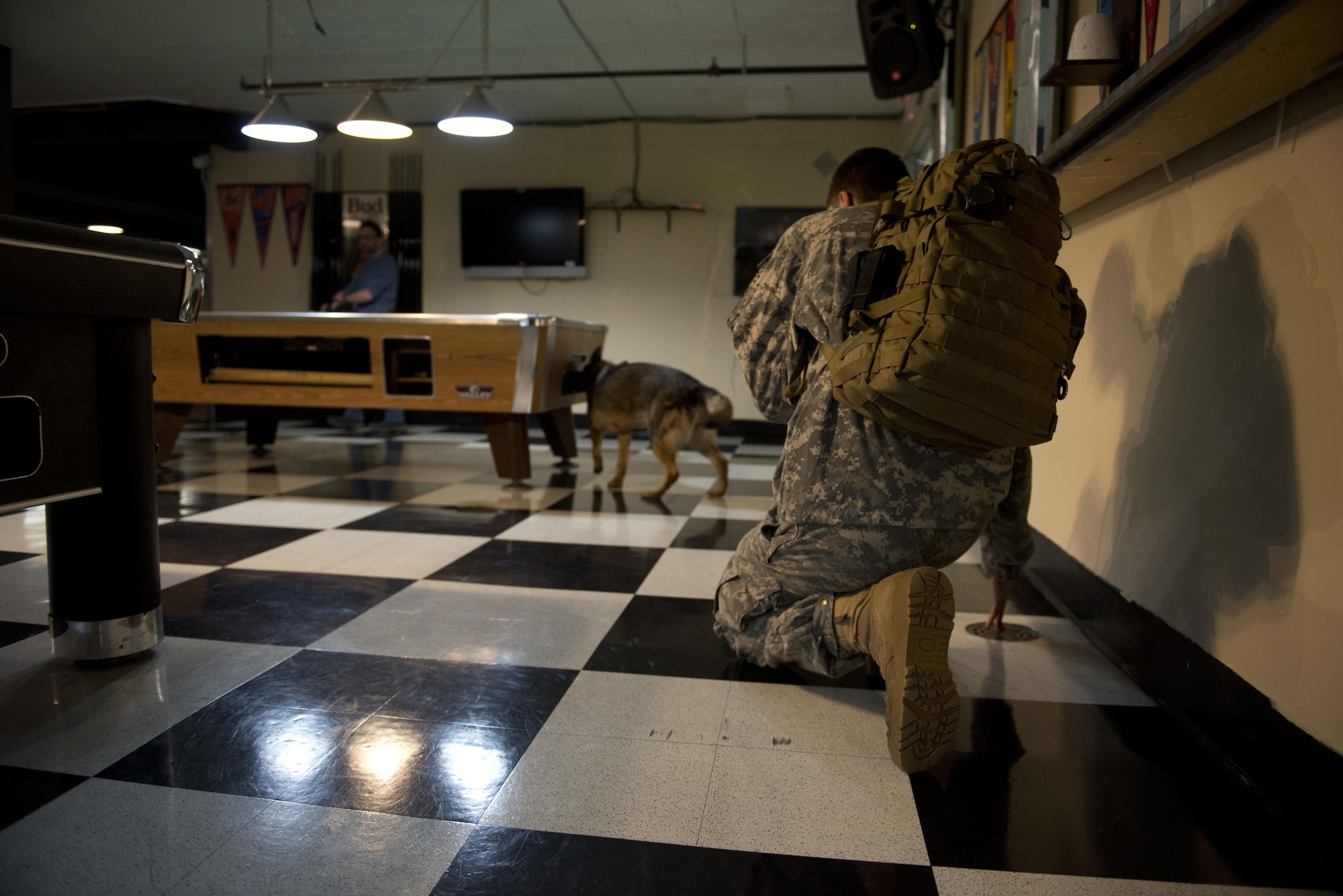 Darla, a German shepherd, assigned to the 549th Military Working Dog Detachment, U.S. Army Alaska, and her handler Army Pfc. Brad Bourne, a native of Southington, Ohio, search a building on Joint Base Elmendorf-Richardson, Alaska, during explosives and illicit drugs detection training, March 21, 2017.  Soldier/dog teams were evaluated on search techniques, and effective detection in practical scenarios. 