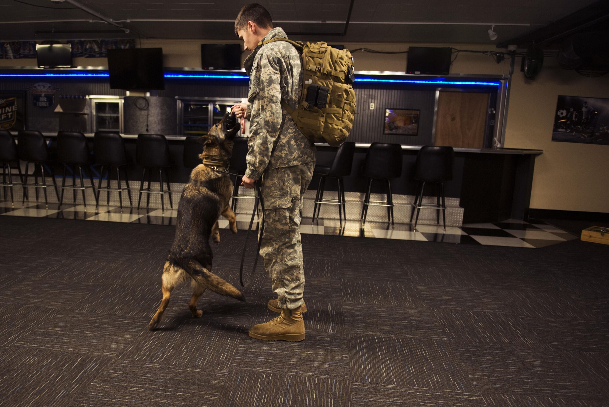 Army Pfc. Brad Bourne, a native of Southington, Ohio, and Darla, a German shepherd, both assigned to the 549th Military Working Dog Detachment, U.S. Army Alaska, pause while searching a building on Joint Base Elmendorf-Richardson, Alaska for explosive and elicit drug detection training, March 21, 2017.  Soldier/dog teams were evaluated on search techniques, and effective detection in practical scenarios as well as aggression training.