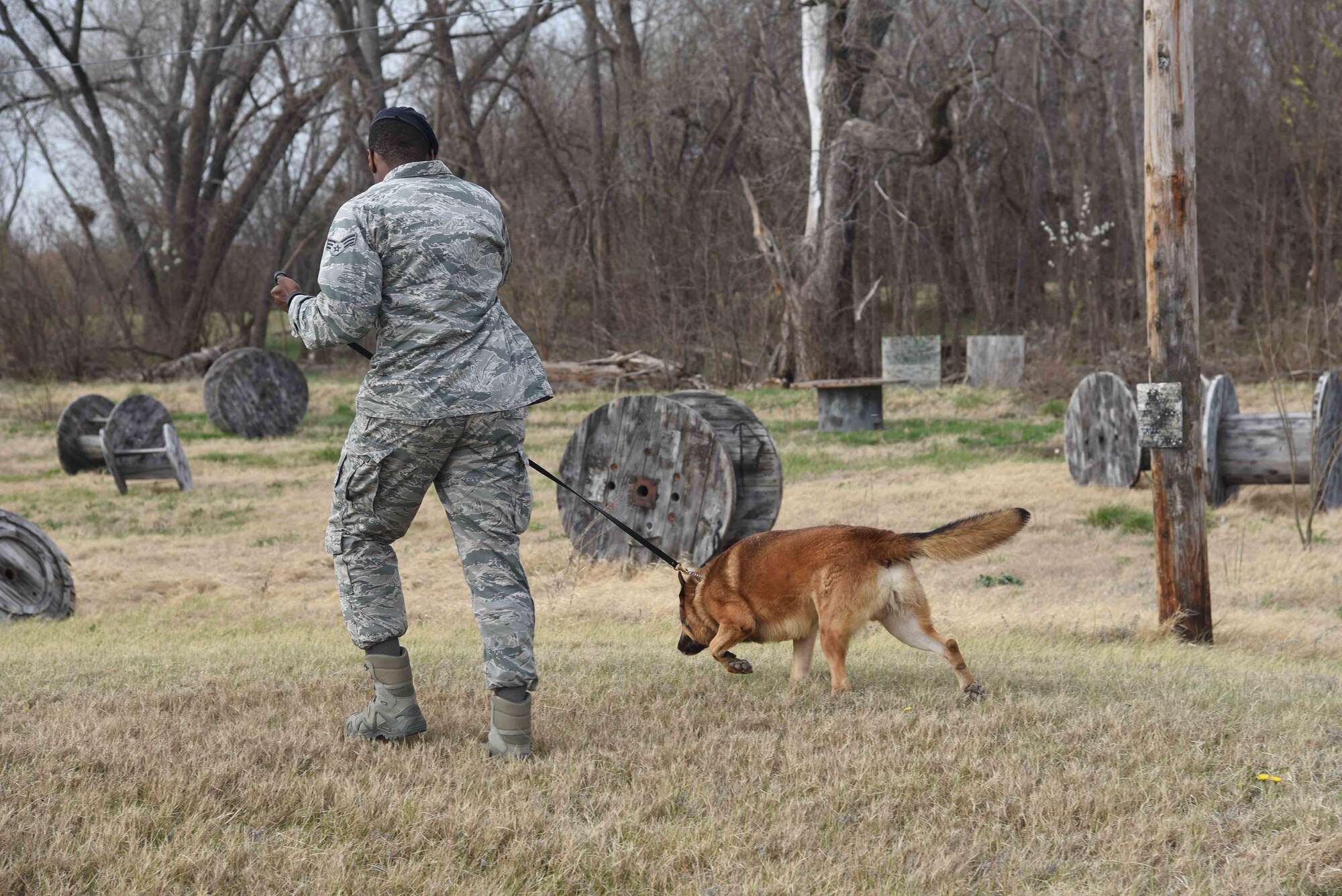 Senior Airman Brandon Proctor, 22nd Security Forces Squadron military working dog handler, and Iras, an MWD, perform scout training March 23, 2017, at McConnell Air Force Base, Kan. This type of training prepares the dogs to be able to locate a suspect who flees into a wooded area. (U.S. Air Force photo/Airman 1st Class Erin McClellan)