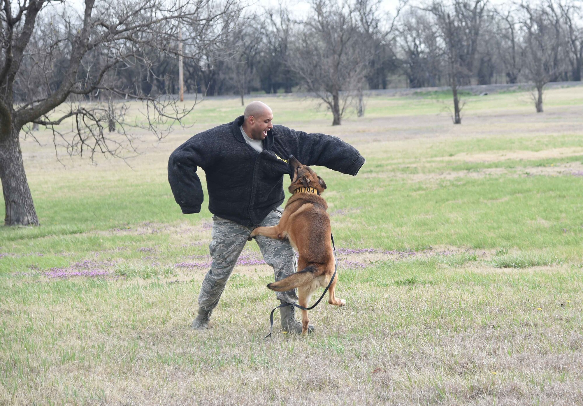 Staff Sgt. Elvin Jose, 22nd Security Forces Squadron military working dog handler, is bitten by Iras, an MWD, during a training session March 23, 2017, at McConnell Air Force Base, Kan. The handlers work regularly with the base’s eight dogs on different types of training. (U.S. Air Force photo/Airman 1st Class Erin McClellan)