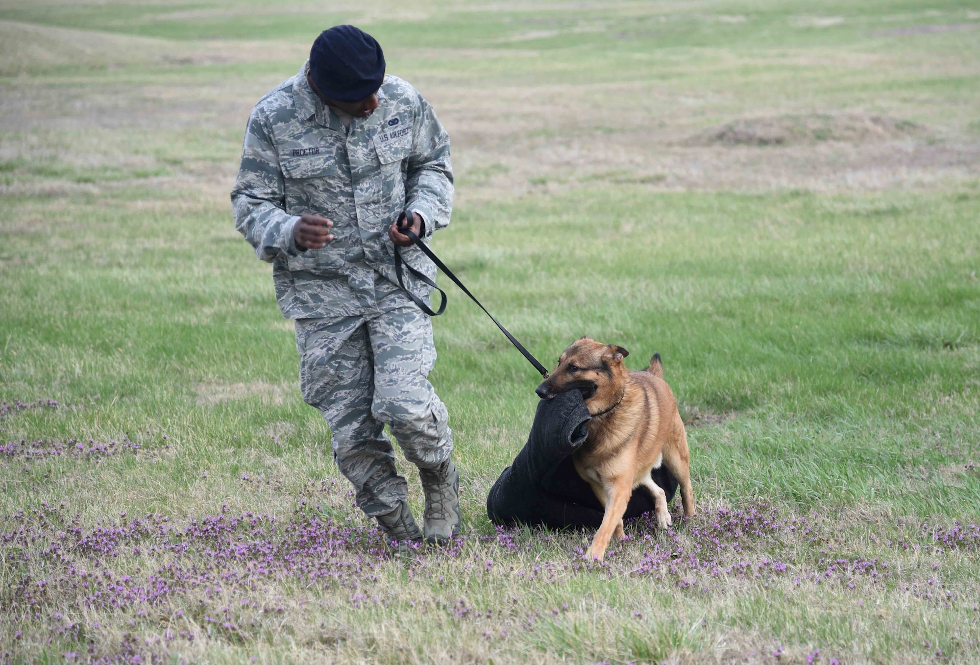 Senior Airman Brandon Proctor, 22nd Security Forces Squadron military working dog handler, walks with Iras, an MWD, as he proudly drags the bite suit that was used during his training session March 23, 2017, at McConnell Air Force Base, Kan. Iras was allowed to carry the jacket as a reward for doing well. (U.S. Air Force photo/Airman 1st Class Erin McClellan)