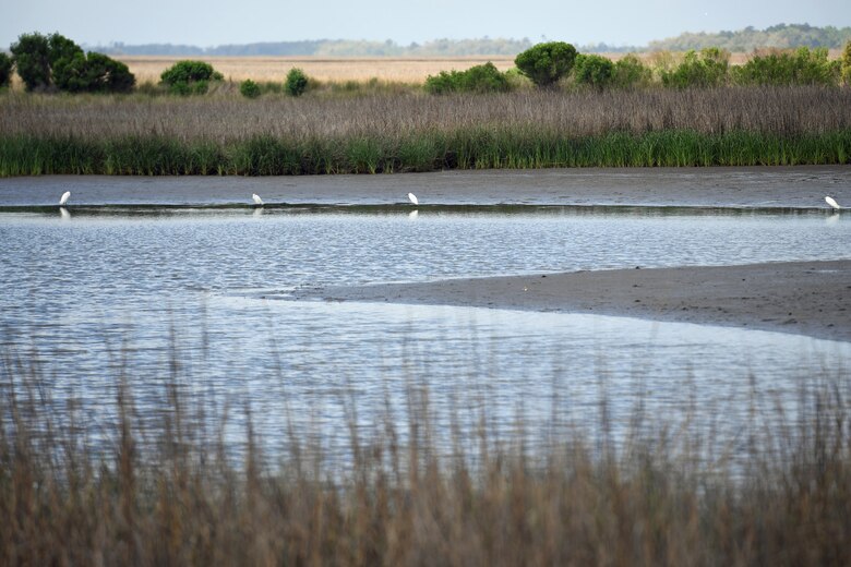 Following Hurricane Katrina, the USACE restored more than 18 acres of wetlands near Waveland, Miss. under the Bayou Caddy Restoration Project. In the absence of action, continued erosion would have eventually led to a net loss of tidal marsh, estuarine habitat and productive fisheries.