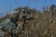 U.S. Air Force 8th Security Forces Squadron members advance through high bush while scanning for opposing forces during a field training exercise at Kunsan Air Base, Republic of Korea, March 17, 2017. Opposing forces attack the security forces members to test their teamwork and communication skills under stressful situations. (U.S. Air Force photo by Senior Airman Colville McFee/Released)