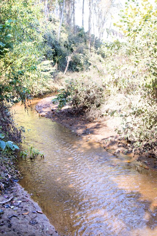 The Charleston District and Clemson University are working together as part of a mitigation project that benefits everyone.