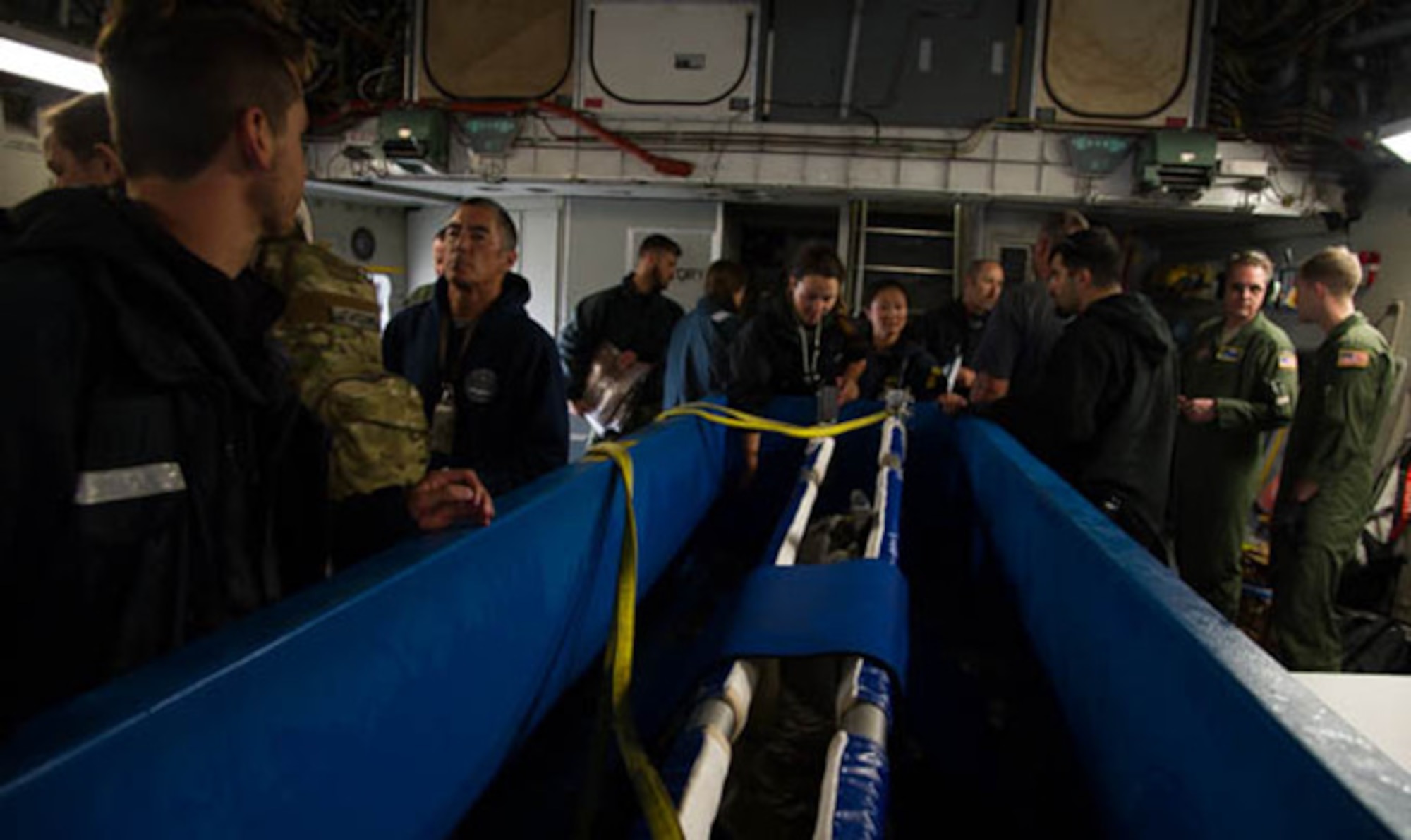 A dolphin from the U.S. Navy’s Marine Mammal Program is loaded aboard a C-17 Globemaster III operated by the 446th Airlift Wing March 13, 2017. The dolphins, with trainers and veterinarians, were being transported from San Diego to Key West, Florida. (U.S. Air Force photo by David L. Yost)