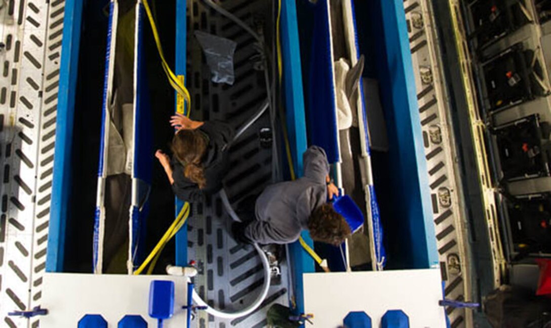 Dolphins from the U.S. Navy’s Marine Mammal Program are attended to while being flown by the 446th Airlift Wing from San Diego to Key West, aboard a C-17 Globemaster III, March 13, 2017. The dolphins perform underwater surveillance and object detection. (U.S. Air Force photo by David L. Yost)