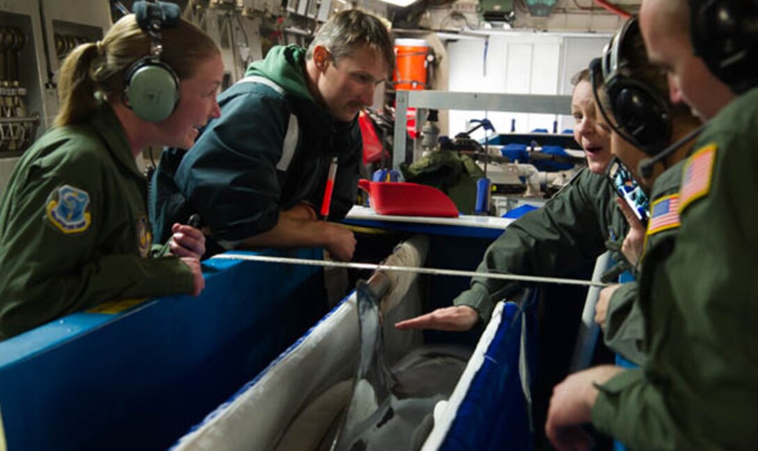 Members from the 446th Aeromedical Evacuation Squadron examine a dolphin from the U.S. Navy’s Marine Mammal Program flying aboard a C-17 Globemaster III operated March 13, 2017. The 446th AES were providing assistance, as required, by the dolphin's handler. (U.S. Air Force photo by David L. Yost)
