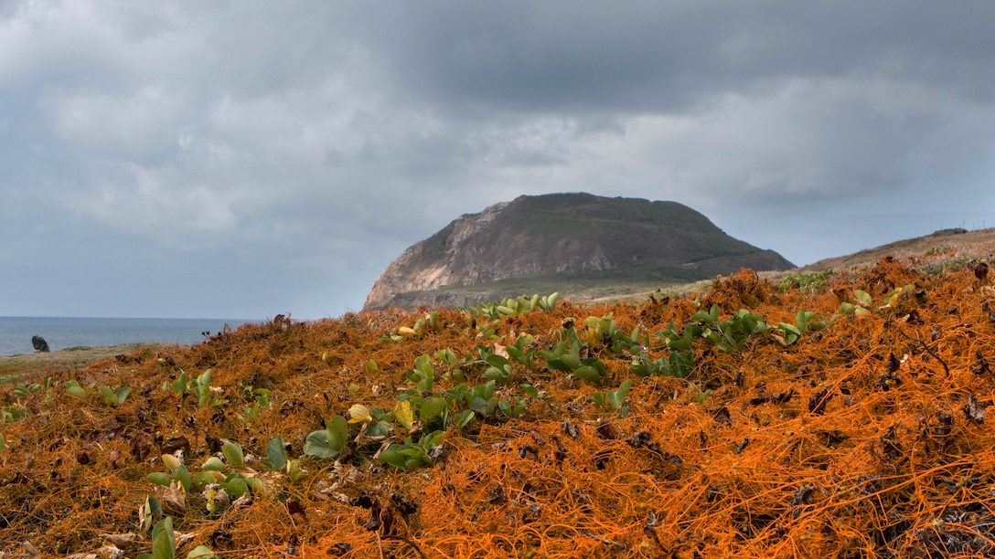 Mount Suribachi, Iwo To, Japan remains a place of great awe for many Marines who have the opportunity to visit and remember the history associated with it. On March 25, 2017 the 72nd Reunion of Honor ceremony was held at the base of the mountain with eight Iwo Jima veterans in attendance as well as American and Japanese, military and civilian honored guests. This event presented the opportunity for the U.S. and Japanese people to mutually remember and honor thousands of service members who fought and died on the hallowed grounds of Iwo Jima.