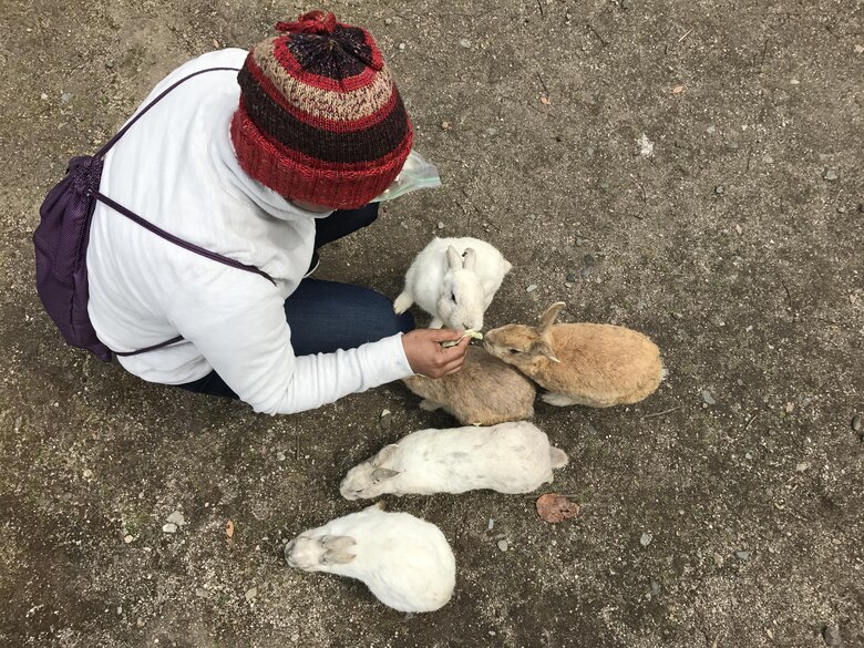 U.S. Navy Chief Petty Officer Farzana Khan, aviation machinist mate temporarily assigned to Carrier Airborne Early Warning Squadron (VAW) 125, on the Single Marine Program trip to “Rabbit Island,” feeds cabbage to a group of rabbits at Okunoshima, Japan, March 25, 2017. The island is home to hundreds of wild rabbits that visitors are allowed to feed and pet and was once a secret production site for chemical weapons during World War II. (U.S. Marine Corps photo by Lance Cpl. Carlos Jimenez)