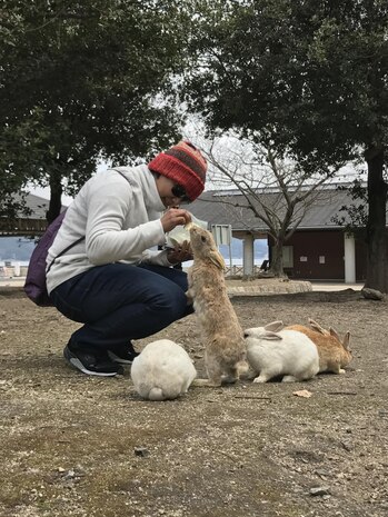 U.S. Navy Chief Petty Officer Farzana Khan, aviation machinist mate temporarily assigned to Carrier Airborne Early Warning Squadron (VAW) 125, on the Single Marine Program trip to “Rabbit Island,” feeds cabbage to a group of rabbits at Okunoshima, Japan, March 25, 2017. The island is home to hundreds of wild rabbits that visitors are allowed to feed and pet and was once a secret production site for chemical weapons during World War II. (U.S. Marine Corps photo by Lance Cpl. Carlos Jimenez)