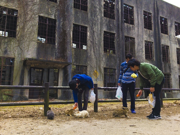 Tourists feed carrots to a group of rabbits as they stand in front of a former power plant at Okunoshima, or “Rabbit Island,” Japan, March 25, 2017. The island is home to hundreds of wild rabbits that visitors are allowed to feed and pet, and has the standing remains of other buildings used by the Japanese Imperial Army to create chemical weapons during World War II. Service members from Marine Corps Air Station Iwakuni took a free bus ride to the island courtesy of the Single Marine Program. (U.S. Marine Corps photo by Lance Cpl. Carlos Jimenez)
