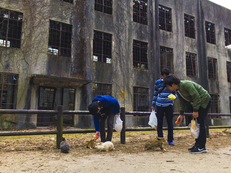 Tourists feed carrots to a group of rabbits as they stand in front of a former power plant at Okunoshima, or “Rabbit Island,” Japan, March 25, 2017. The island is home to hundreds of wild rabbits that visitors are allowed to feed and pet, and has the standing remains of other buildings used by the Japanese Imperial Army to create chemical weapons during World War II. Service members from Marine Corps Air Station Iwakuni took a free bus ride to the island courtesy of the Single Marine Program. (U.S. Marine Corps photo by Lance Cpl. Carlos Jimenez)