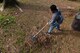U.S. Air Force Airman 1st Class Kathleen Brown, 609th Air Communications Squadron cyber system operator, rakes up leaves during the ninth annual Beautify Wateree event at Wateree Recreation Area near Camden, S.C., March 25, 2017. The event provided an opportunity for Team Shaw members to take ownership of the campgrounds and clear them of debris after the winter season. (U.S. Air Force photo by Airman 1st Class Destinee Sweeney)