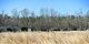 U.S. Marines assigned to Marine Wing Support Detachment 31 stationed at Marine Corps Air Station Beaufort, S.C., undergo training at Poinsett Electronic Combat Range near Wedgefield, S.C., March 23, 2017. Approximately 150 Marines from the detachment “deployed” to Poinsett range to evaluate their ability to accomplish mission essential tasks in a deployed environment. (U.S. Air Force photo by Airman 1st Class Christopher Maldonado)