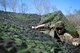 U.S. Marine Corps Sgt. Patrick Knauer, Marine Wing Support Detachment 31 cyber network operator, stationed at Marine Corps Air Station Beaufort, S.C., removes a tent cover at Poinsett Electronic Combat Range near Wedgefield, S.C., March 23, 2017. Marines assigned to the detachment constructed a deployment-like community where they performed their respective missions. (U.S. Air Force photo by Airman 1st Class Christopher Maldonado)