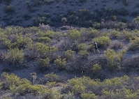 Staff Sgt. Phillip LaPoint, a 49th Maintenance Squadron stockpile technician, runs on a local trail on Feb. 15, 2017 in Alamogordo, N.M. After more than 2,000 miles worth of training, LaPoint ran and placed first in his first 50-mile ultra-marathon outside of Alexandria, Louisiana. (U.S. Air Force photo by Senior Airman Emily Kenney)