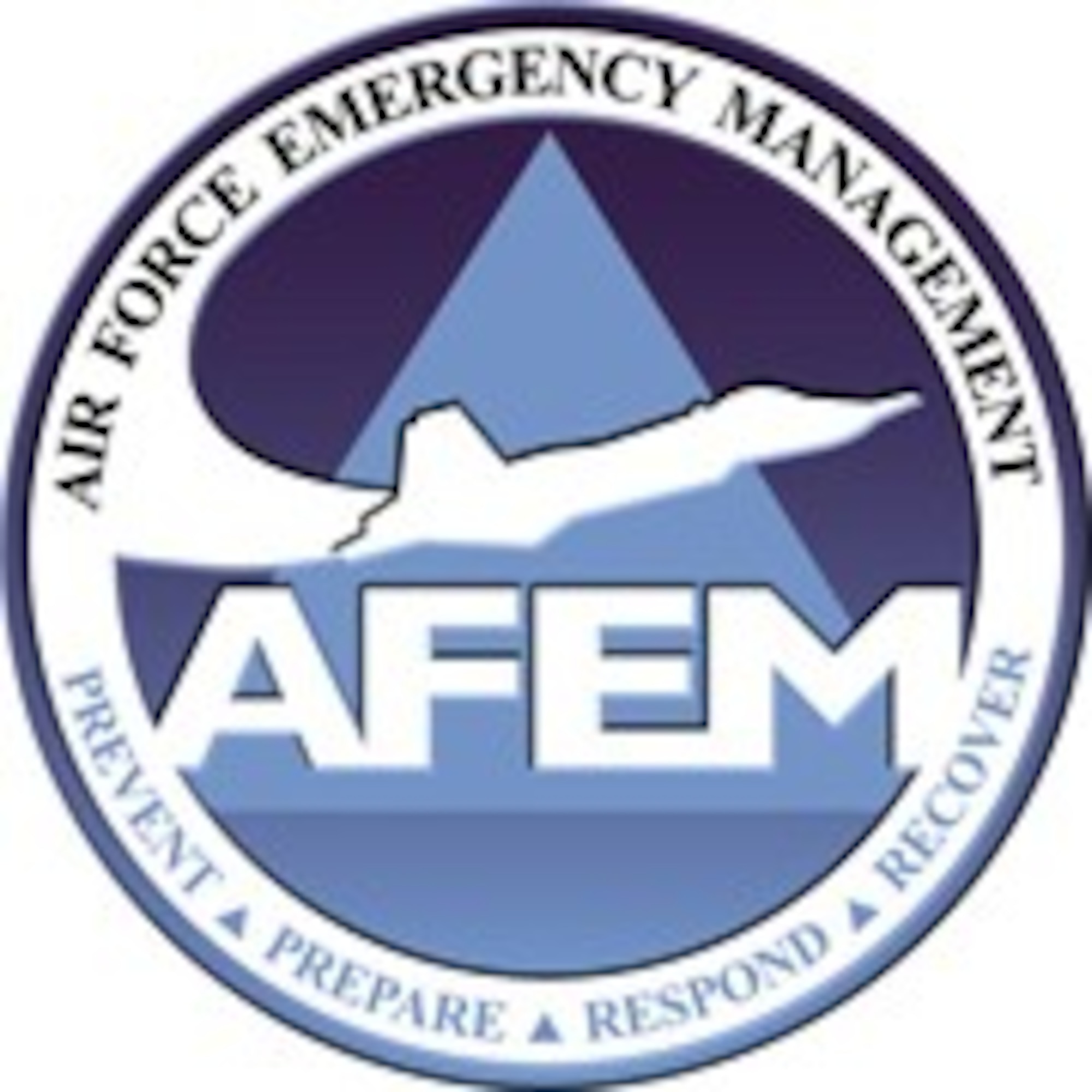 Air Force Emergency Management specialists are trained for response and recovery operations anywhere in the world. These members develop plans for Air Force personnel to meet mission needs and minimize casualties in any disaster situation. (Courtesy photo)