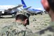 Mexican Navy explosive ordnance disposal technicians observe as a U.S. Air Force Medium-Sized Robot prepares to approach an improvised explosive device during the Raven's Challenge XI Interoperability Exercise at Pinal Airpark in Marana, Ariz., March 21, 2017. The exercise provides an organized opportunity to grow and strengthen public safety partnerships between international, state and local jurisdictions for the prevention, protection, mitigation and response to man-made threats the U.S. faces today. (U.S. Air Force photo by Airman 1st Class Nathan H. Barbour)